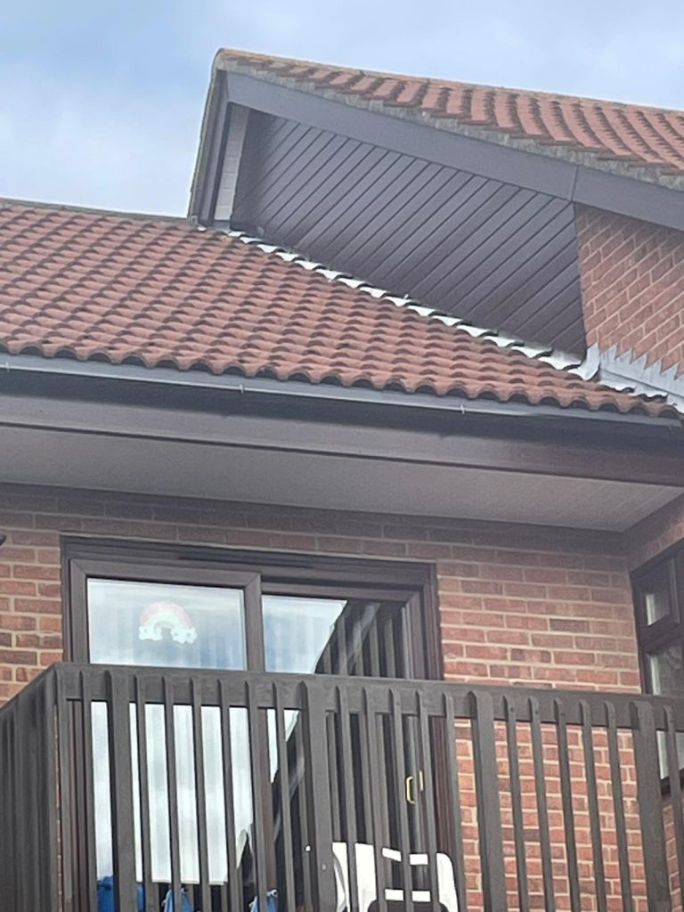 Dark brown fascias and cladding on a domestic property